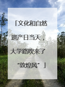 文化和自然遗产日当天，大学路吹来了“敦煌风”