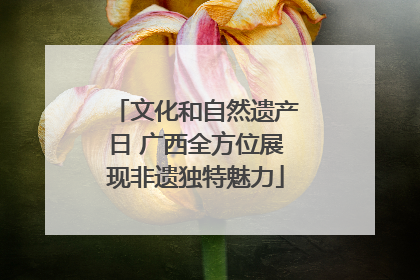 文化和自然遗产日 广西全方位展现非遗独特魅力