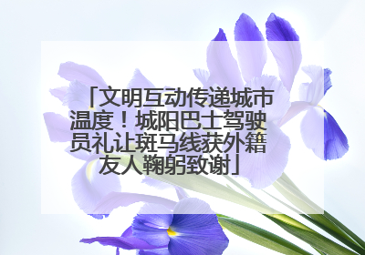 文明互动传递城市温度！城阳巴士驾驶员礼让斑马线获外籍友人鞠躬致谢