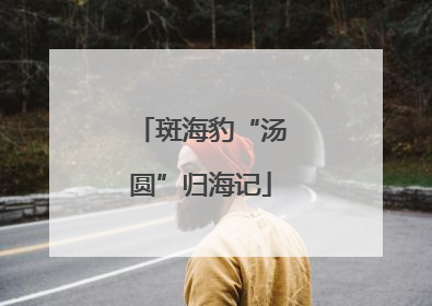 斑海豹“汤圆”归海记