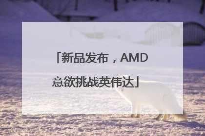 新品发布，AMD意欲挑战英伟达