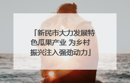 新民市大力发展特色瓜果产业 为乡村振兴注入强劲动力