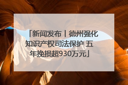 新闻发布丨德州强化知识产权司法保护 五年挽损超930万元