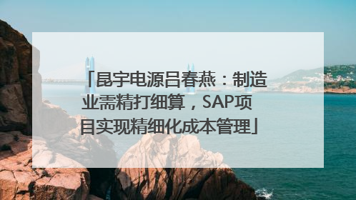 昆宇电源吕春燕：制造业需精打细算，SAP项目实现精细化成本管理