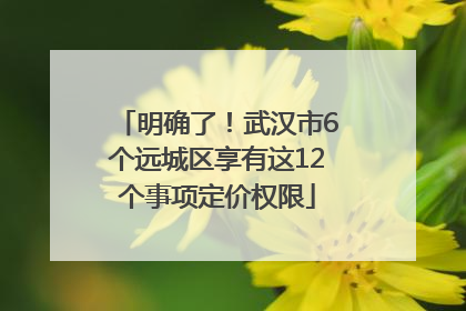明确了！武汉市6个远城区享有这12个事项定价权限