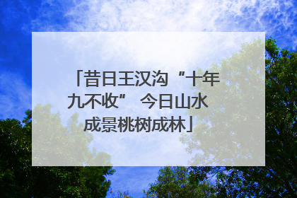 昔日王汉沟“十年九不收” 今日山水成景桃树成林