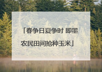 春争日夏争时 即墨农民田间抢种玉米