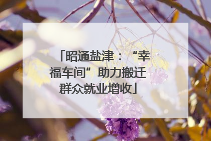 昭通盐津：“幸福车间”助力搬迁群众就业增收