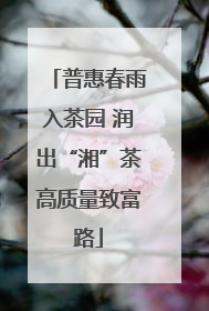 普惠春雨入茶园 润出“湘”茶高质量致富路