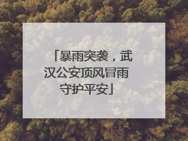 暴雨突袭，武汉公安顶风冒雨守护平安