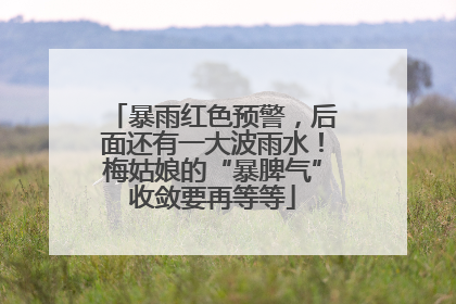 暴雨红色预警，后面还有一大波雨水！梅姑娘的“暴脾气”收敛要再等等