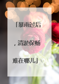 暴雨过后，清淤保畅难在哪儿