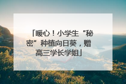 暖心！小学生“秘密”种植向日葵，赠高三学长学姐
