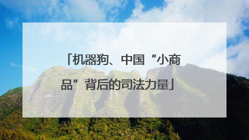 机器狗、中国“小商品”背后的司法力量