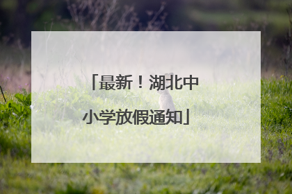 最新！湖北中小学放假通知
