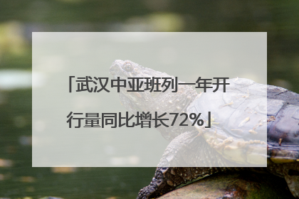 武汉中亚班列一年开行量同比增长72%