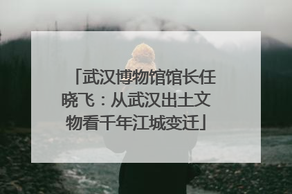 武汉博物馆馆长任晓飞：从武汉出土文物看千年江城变迁