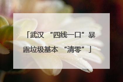 武汉 “四线一口”暴露垃圾基本 “清零”