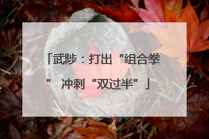 武陟：打出“组合拳” 冲刺“双过半”