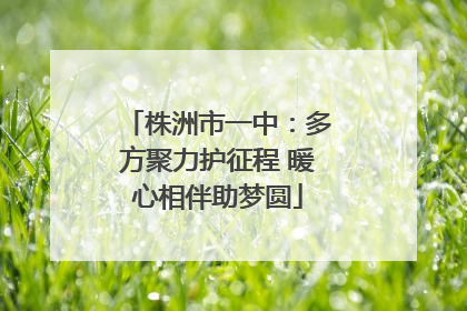 株洲市一中：多方聚力护征程 暖心相伴助梦圆