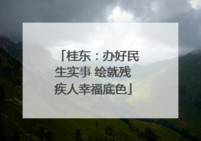 桂东：办好民生实事 绘就残疾人幸福底色