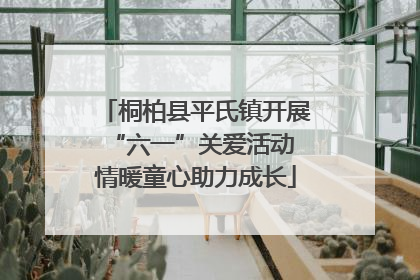 桐柏县平氏镇开展“六一”关爱活动 情暖童心助力成长