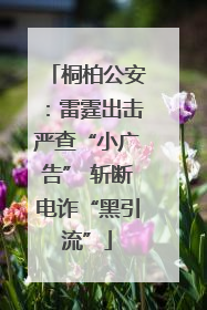 桐柏公安：雷霆出击严查“小广告” 斩断电诈“黑引流”