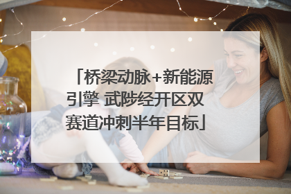 桥梁动脉+新能源引擎 武陟经开区双赛道冲刺半年目标