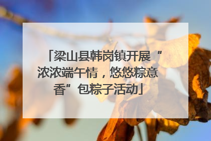 梁山县韩岗镇开展“浓浓端午情，悠悠粽意香”包粽子活动