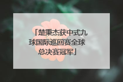楚秉杰获中式九球国际巡回赛全球总决赛冠军