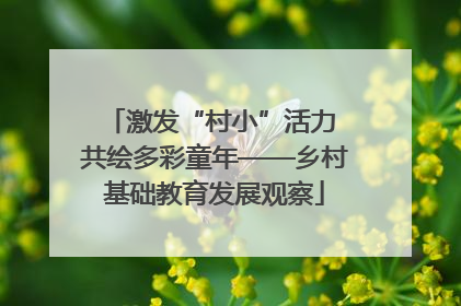 激发“村小”活力 共绘多彩童年——乡村基础教育发展观察