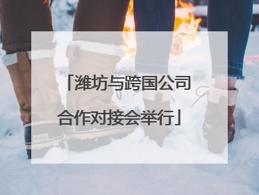 潍坊与跨国公司合作对接会举行