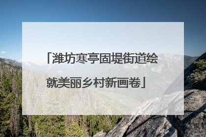 潍坊寒亭固堤街道绘就美丽乡村新画卷