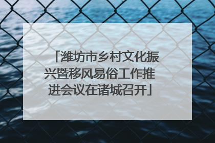 潍坊市乡村文化振兴暨移风易俗工作推进会议在诸城召开