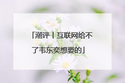 潮评丨互联网给不了韦东奕想要的