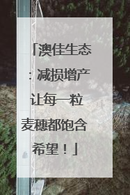 澳佳生态：减损增产 让每一粒麦穗都饱含希望！