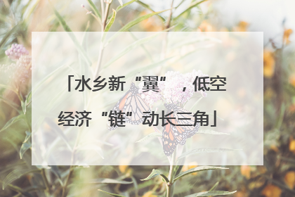 水乡新“翼”，低空经济“链”动长三角