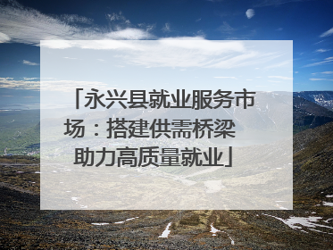 永兴县就业服务市场：搭建供需桥梁 助力高质量就业