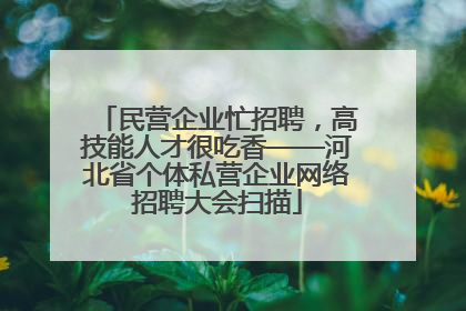民营企业忙招聘，高技能人才很吃香——河北省个体私营企业网络招聘大会扫描