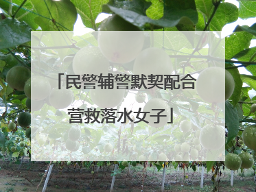 民警辅警默契配合 营救落水女子