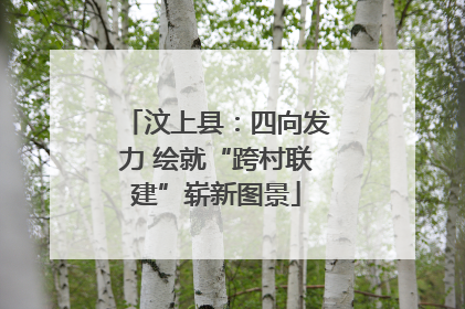 汶上县：四向发力 绘就“跨村联建”崭新图景