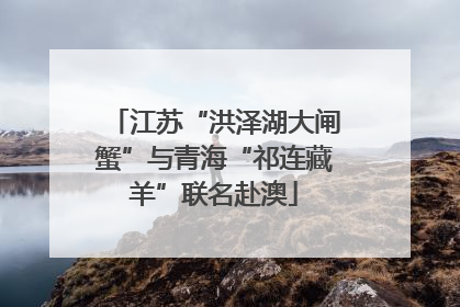 江苏“洪泽湖大闸蟹”与青海“祁连藏羊”联名赴澳
