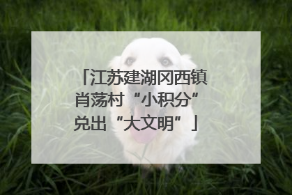 江苏建湖冈西镇肖荡村“小积分”兑出“大文明”