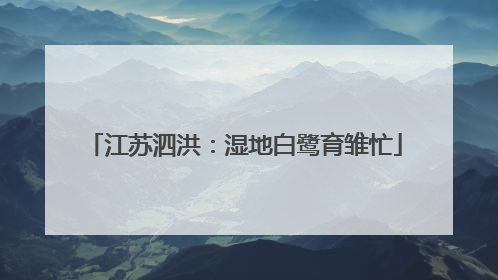 江苏泗洪：湿地白鹭育雏忙