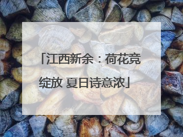 江西新余：荷花竞绽放 夏日诗意浓