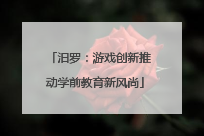 汨罗：游戏创新推动学前教育新风尚