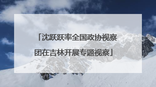 沈跃跃率全国政协视察团在吉林开展专题视察