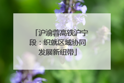 沪渝蓉高铁沪宁段：织就区域协同发展新纽带