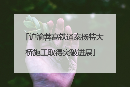 沪渝蓉高铁通泰扬特大桥施工取得突破进展