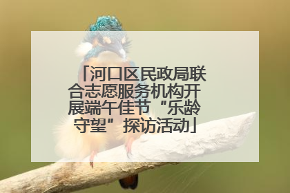 河口区民政局联合志愿服务机构开展端午佳节“乐龄守望”探访活动